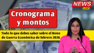 Cronograma y montos