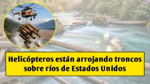 Helicópteros están arrojando troncos sobre ríos de Estados Unidos