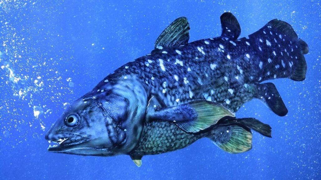 7 ancient fish species older than dinosaurs